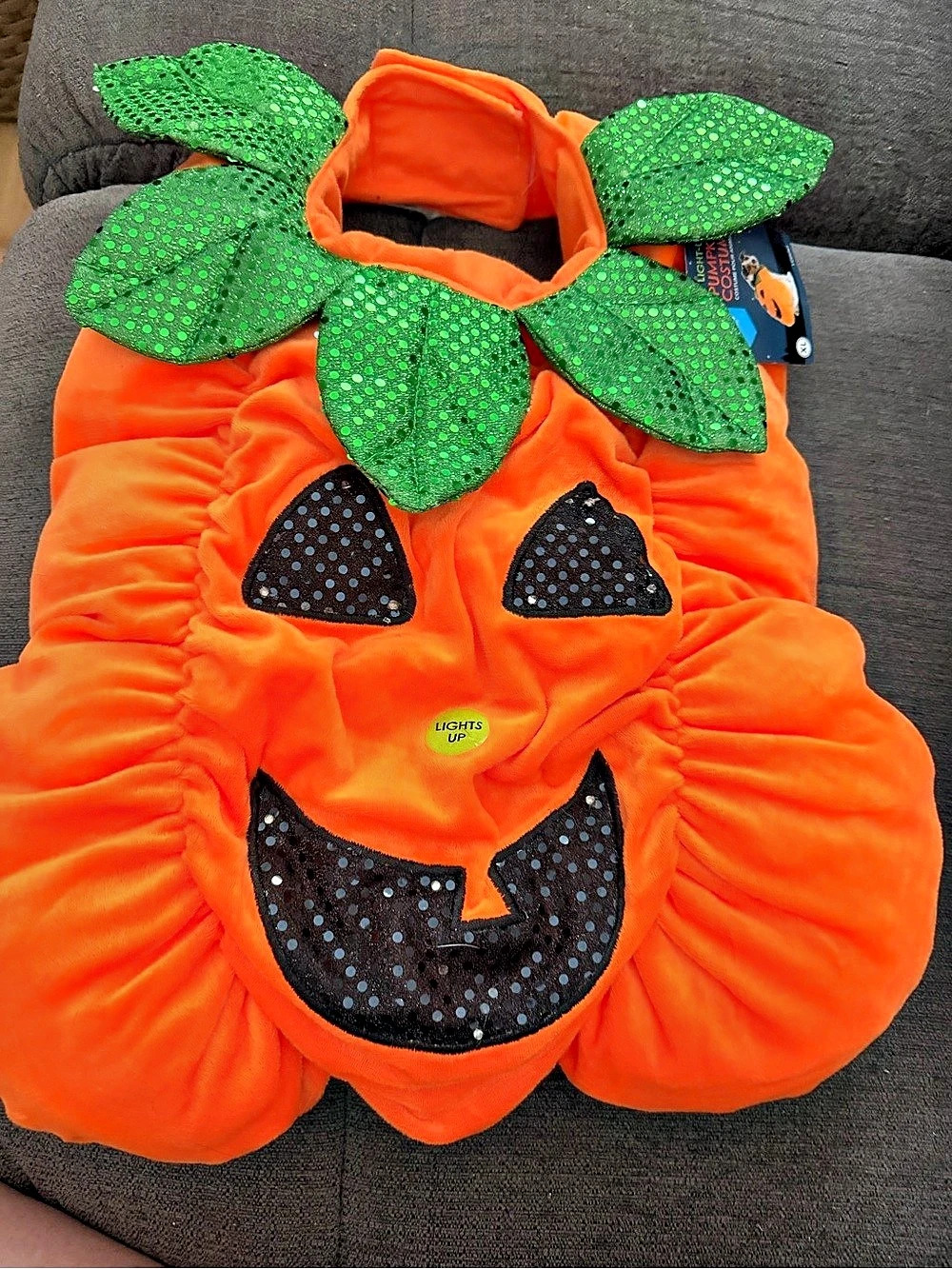 Thrills & Chills Light-Up Pumpkin Costume Dog Costume XL NWT